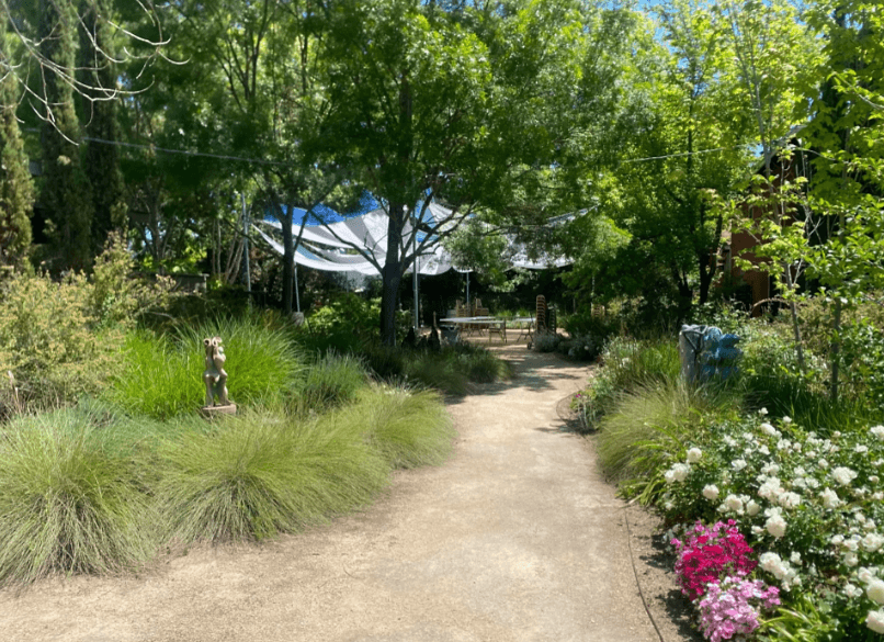 Gravel path through the planted grounds of The Secret Gardens in Sonoma, past ornamental grasses and white roses to a shade canopy